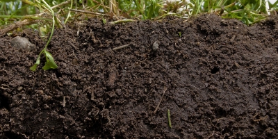 Patente inédita desenvolvida no Brasil cria fertilizante inteligente com potencial para regenerar solos e reduzir emissões no campo