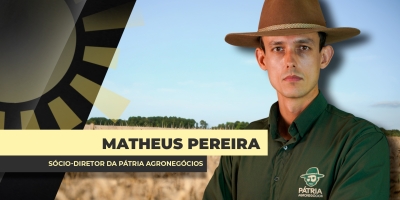 Soja: Apesar de suporte em Chicago, preços no Brasil ainda seguem pressionados e margens do produtor muito ajustadas