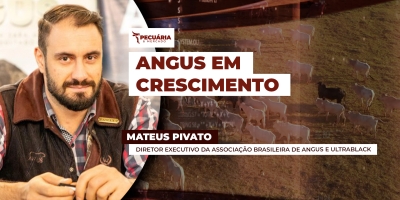 Valorização da carne de qualidade faz crescer procura por sêmen Angus no Brasil
