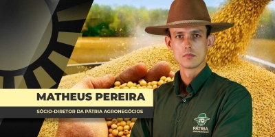 Prêmios da soja no Brasil têm sido o fiel da balança na formação dos preços no mercado interno