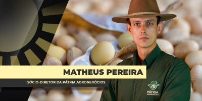 Negócios com a soja 2026/27 de intensificam no Brasil, apesar de margens projetadas serem as menores da história