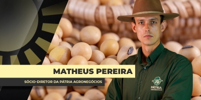 Enquanto Chicago tem altas contínuas, soja ainda gera margens ajustadas no BR