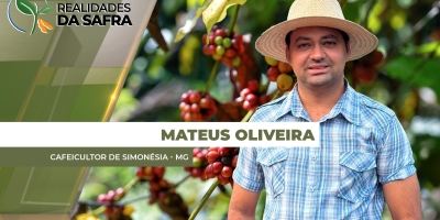 Cafezais de Simonésia/MG sofrem com seca e doenças