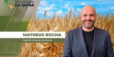 Safra de Inverno no RS