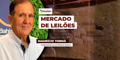 Maurício Tonhá explica o mercado de leilões e as demandas compradoras visando a pecuária de qualidade