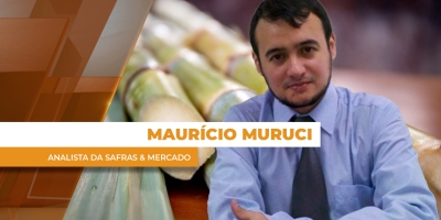 Etanol se consolida como principal aposta das usinas na safra 26/27