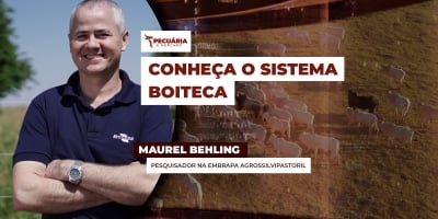Modelo de produção em ILPF que utiliza a espécie de árvore Teca muito procurada para exportação da madeira