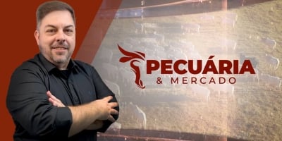 Pecuária & Mercado - Retrospectiva 2025