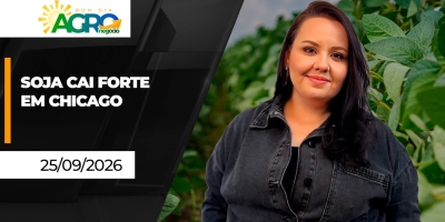Bom Dia Agro - Commodities Agrícolas em Queda, Retomada do Café e Tensões Geopolíticas no Radar