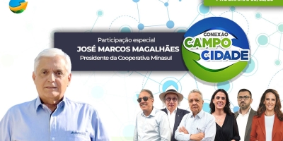 Antes de novos investimentos, produtor precisa analisar viabilidade nos momentos ruins