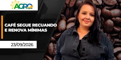 Café mantém volatilidade nas bolsas internacionais, enquanto grãos voltam a recuar na CBOT