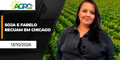 Bom Dia Agro - Soja e farelo recuam em Chicago; café ainda sobe em NY; milho tem negócios travados no BR