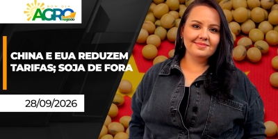Bom dia Agro - Acordo entre EUA e China deixa soja fora de novas reduções tarifárias e pressiona cotações em Chicago