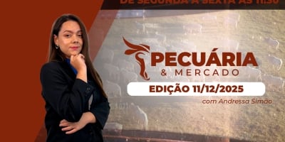 Frigoríficos iniciam férias coletivas e estabilidade predomina no mercado do boi nesta semana