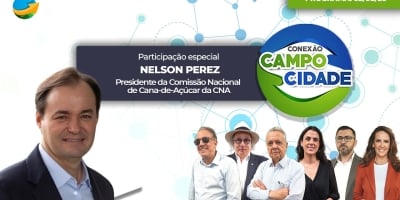Produtores de cana-de-açúcar testam nova alternativa de manejo para enfrentar custos altos de produção