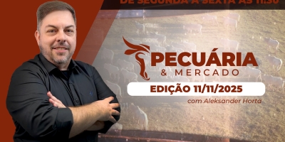 Pressão na arroba diminui na B3 e mercado físico do boi pode testar novas altas