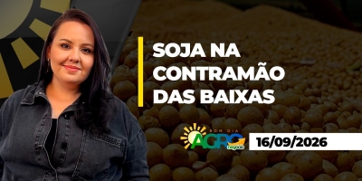 Bom Dia Agro - Soja sobe em Chicago, enquanto agrícolas recuam