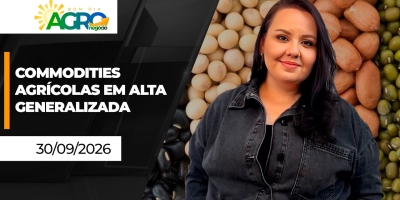 Bom Dia Agro - Lideradas pelo café, commodities agrícolas agrícolas avançam nesta 4ª feira; atenção ao USDA