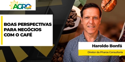 Perspectivas para a comercialização da nova safra de café são boas, apesar de volatilidade que deve continuar