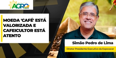 Café tem bom momento de preços e cafeicultores avançam nos negócios no ritmo de suas necessidades; cautela sobre as vendas futuras