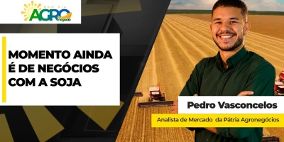Momento continua sendo de negócios com a soja no mercado brasileiro, apesar de volatilidade intensa em Chicago