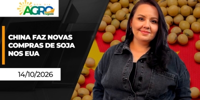 Bom Dia Agro - China volta às compras nos EUA e soja sobe em Chicago; pacote de medidas ao empreendedor e a Reforma Tributária