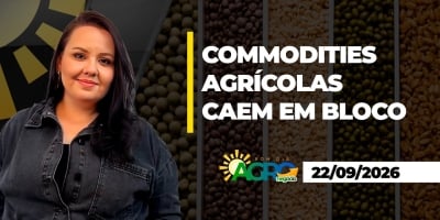 Bom Dia Agro - Geopolítica dita o ritmo dos grãos entre colheita nos EUA e incertezas climáticas no Brasil