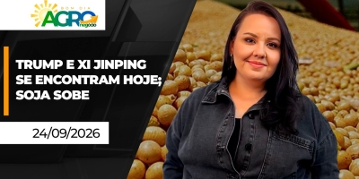 Bom Dia Agro - Cúpula entre EUA e China sela extensão de trégua comercial e impulsiona soja em Chicago