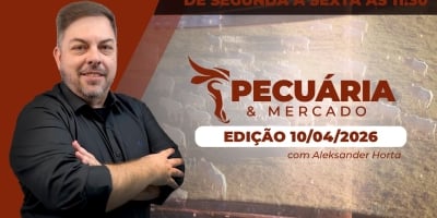 Demanda forte dos frigoríficos diante de uma menor oferta de animais tem impulsionado alta da arroba