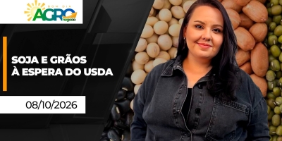 Bom Dia Agro - Mercado de grãos se ajusta antes de novo boletim do USDA; agro em alerta para 2º turno