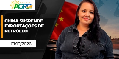Impacto dos estoques do USDA e ritmo do plantio no Brasil ditam rumos para milho e soja