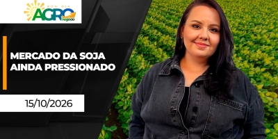 Mercado da soja sob pressão, ritmo da semeadura e inteligência de dados pautam o agronegócio