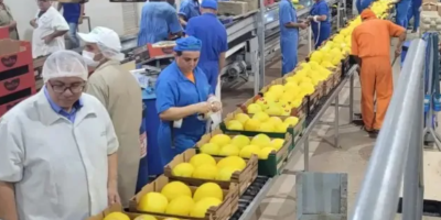 Exportações de frutas e nozes seguem abaixo de 2025, mas preço médio sobe 14,7% até a 4ª semana de julho
