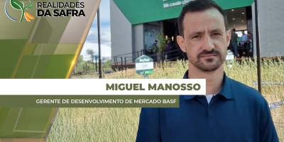 ENTREVISTA REALIDADES DA SAFRA COM Miguel Manosso - Gerente de Desenvolvimento de Mercado BASF