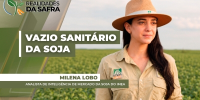 Vazio sanitário da soja começa no Mato Grosso e vai até 6 de setembro