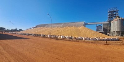 Produtividades próximas das recordes resulta em gargalos logísticos e milho a céu aberto em Mato Grosso