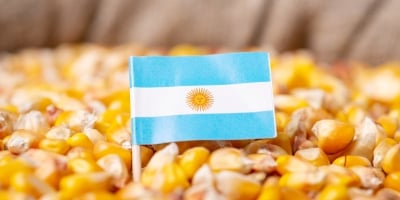 Bolsa eleva previsão de safra de milho argentina para recorde de 61 mi t