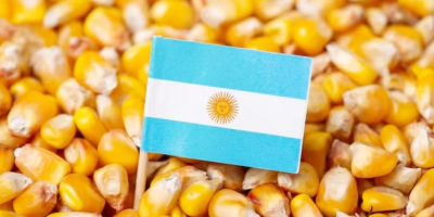 Bolsa eleva previsão de safra de milho da Argentina a patamar recorde