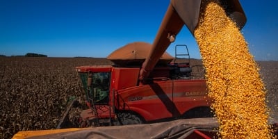 Agrural: Colheita da safrinha de milho vai a 40% no Centro-Sul na melhor semana da temporada