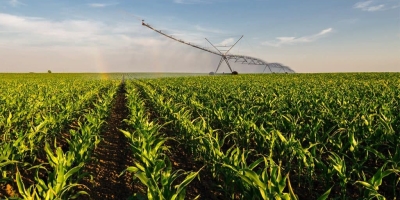Irrigação pode ampliar produção, renda e segurança alimentar no Brasil, mas ainda esbarra em entraves regulatórios e de infraestrutura