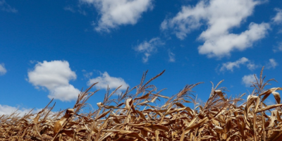 Para CNA, projeto aprovado no Senado moderniza e fortalece seguro rural