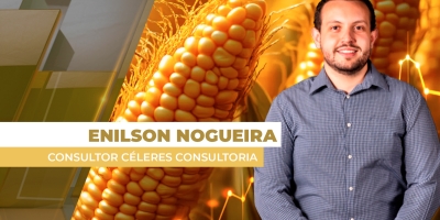 Preços do milho futuro fecham a semana com valorizações na B3 sob influência do mercado climático