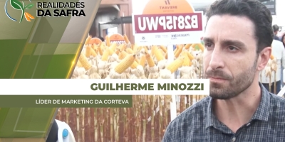 Escolha do híbrido de milho também pode ajudar no controle dos nematoides em todo o sistema produtivo
