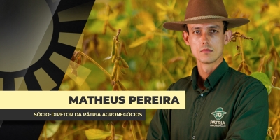 Disparada da soja na Bolsa de Chicago traz altas pontuais e regionais no Brasil