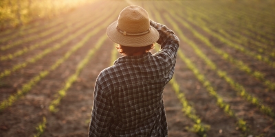 Rota Bioceânica coloca a Ásia no radar do agronegócio brasileiro