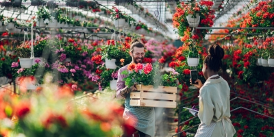 Mercado de flores dribla ano atípico e deve crescer até 8%, segundo a Ibraflor