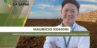 Diagnóstico de perfil de solo pode recuperar produtividades de lavouras