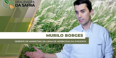 Safra 2025/26 é marcada pelo aumento de plantas daninhas como Caruru e Pé de Galinha