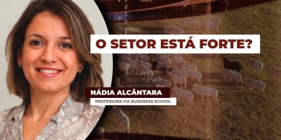 Mercado, exportações e biosseguridade: como chegam aves e suínos à metade de 2026