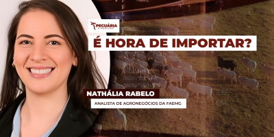 Primeiras importações de Tilápia do Vietnã preocupam setor produtivo em MG